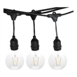 AQ Lighting Plastic Outdoor LED 15 String Light with LED Edison Bulb in Black
