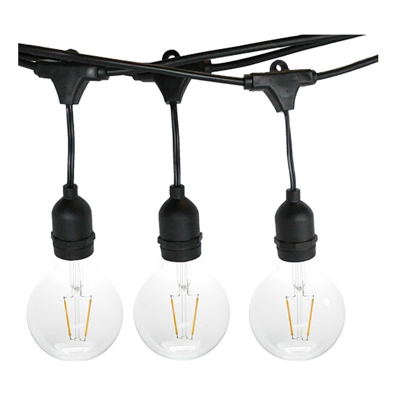 AQ Lighting Plastic Outdoor LED 24 String Light with Edison Bulb in Black