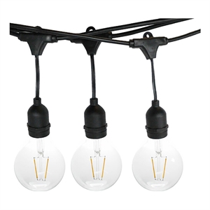 AQ Lighting Plastic Outdoor LED 24 String Light with Edison Bulb in Black