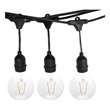 AQ Lighting Plastic Outdoor LED 24 String Light with Edison Bulb in Black