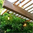 AQ Lighting Plastic Dimmable Outdoor LED 12 Patio String Light in Black
