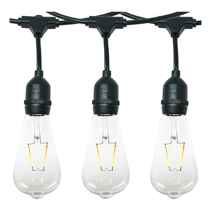 AQ Lighting Plastic Dimmable Outdoor LED 12 Patio String Light in Black