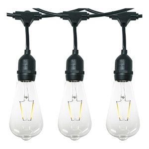 AQ Lighting Plastic Dimmable Outdoor LED 12 Patio String Light in Black