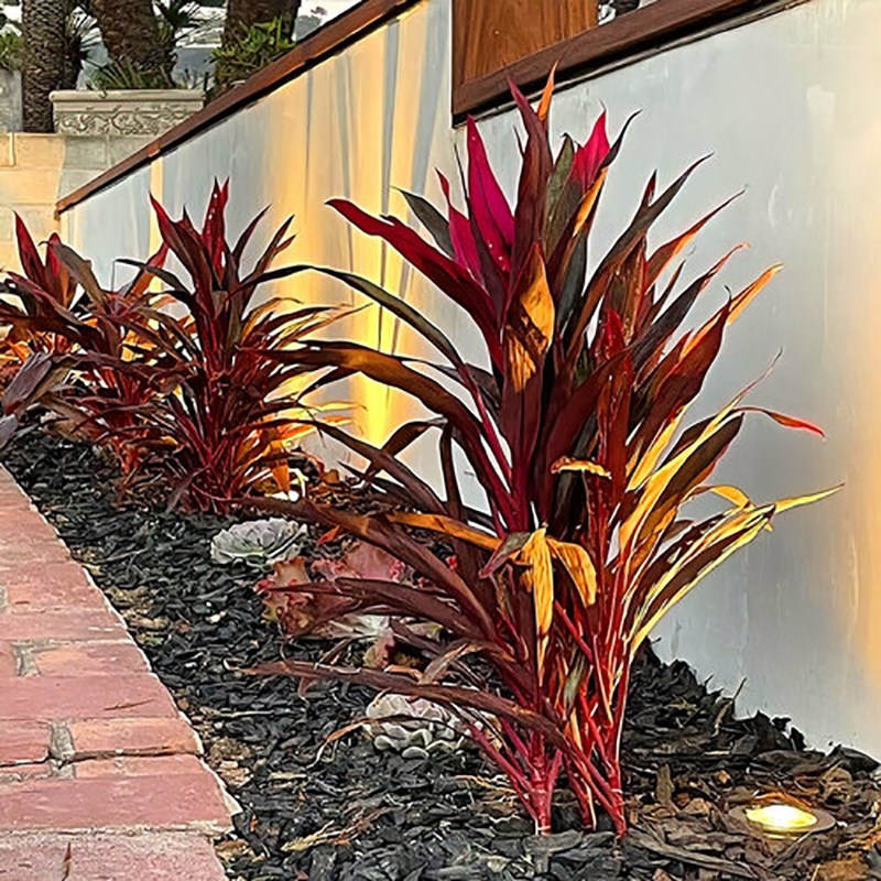 AQ Lighting 5