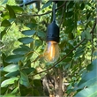 AQ Lighting Outdoor Rated Plastic Solar Powered LED 12 String Light in Black