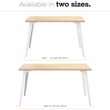 Orison 24x48 Mid Century Modern Metal Desk - Alpine White / Platinum Oak