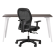 Orison Office Set Starter Pack -  Alpine White / Mesh / Trail Walnut