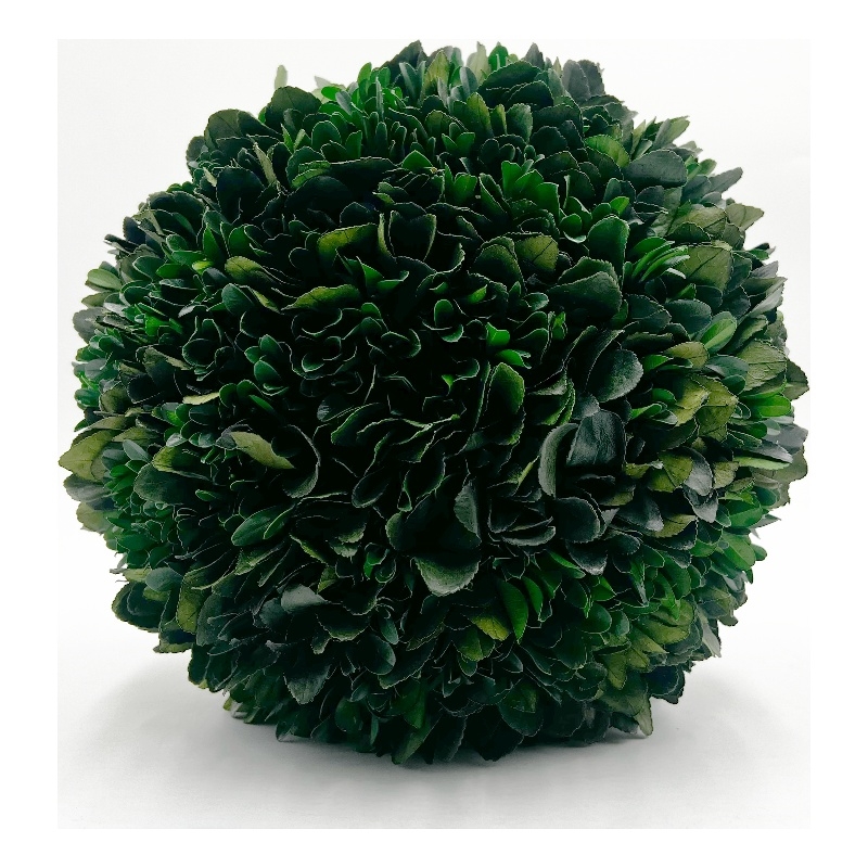 Bergamo Art Preserved 11 Inch Decorative Boxwood Ball in Green
