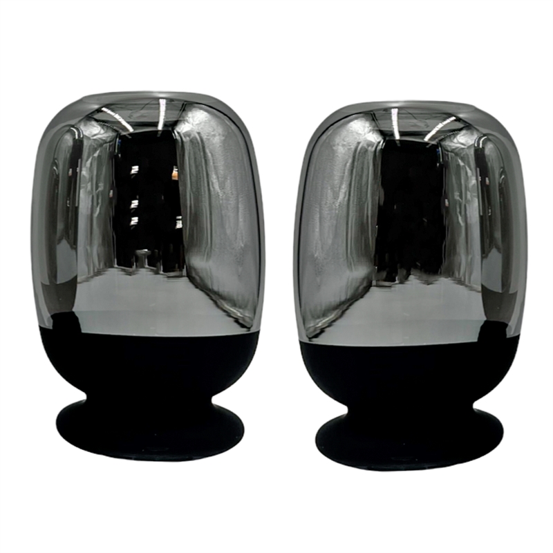 Bergamo Art Set of 2 Decorative Handmade Glass Flower Vases in Black and Silver