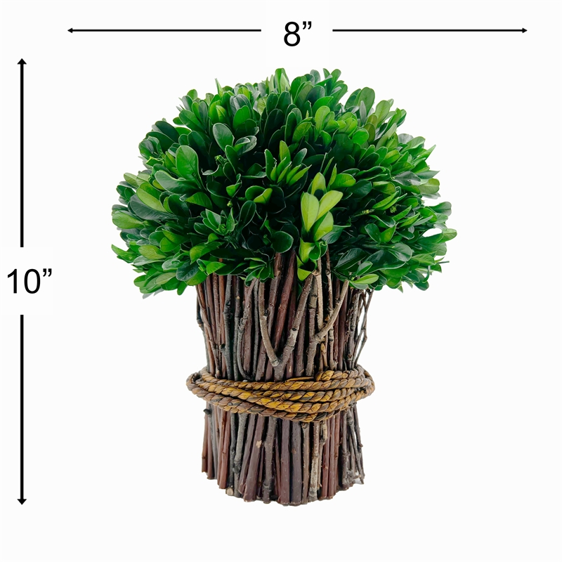 Bergamo Art Preserved 10 Inch Decorative Boxwood Standing Topiary Plant Green