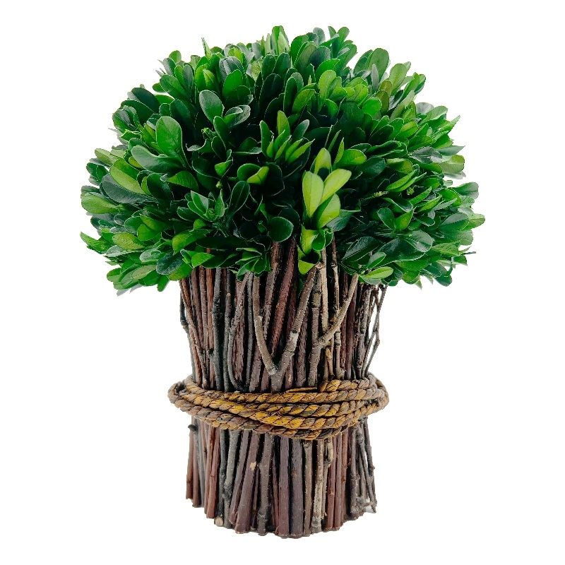 Bergamo Art Preserved 10 Inch Decorative Boxwood Standing Topiary Plant Green