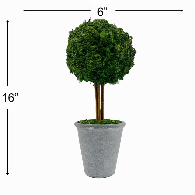 Bergamo Art Preserved 16 Inch Reindeer Moss Ball Potted Topiary Tree Pair Green