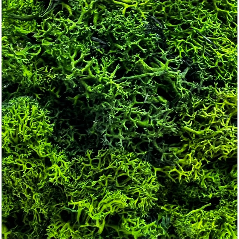 Bergamo Art Preserved 16 Inch Reindeer Moss Ball Potted Topiary Tree Pair Green