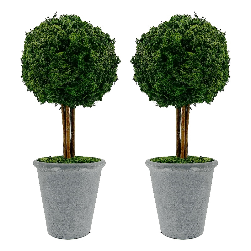Bergamo Art Preserved 16 Inch Reindeer Moss Ball Potted Topiary Tree Pair Green