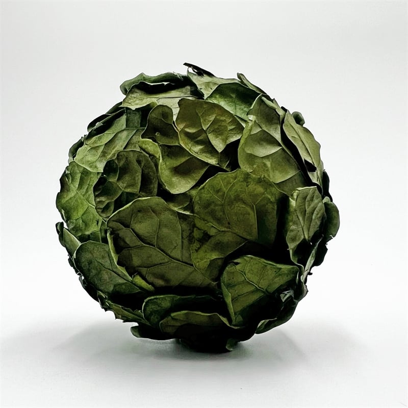 Bergamo Art Preserved PineCone and Oak Leaves Balls Bowl filler Decorative Orbs