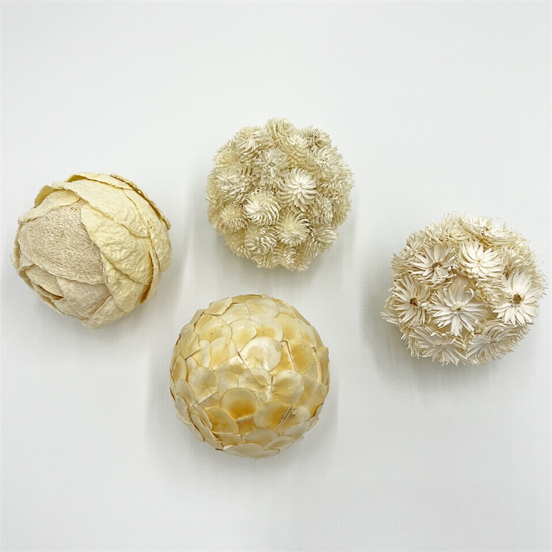 Bergamo Art Preserved Decorative Conifer and Pinecone Topiary Balls in White