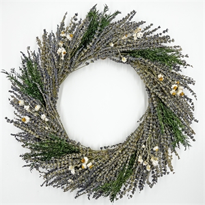 Bergamo Art Preserved Decorative Real Lavender Wreaths in Purple