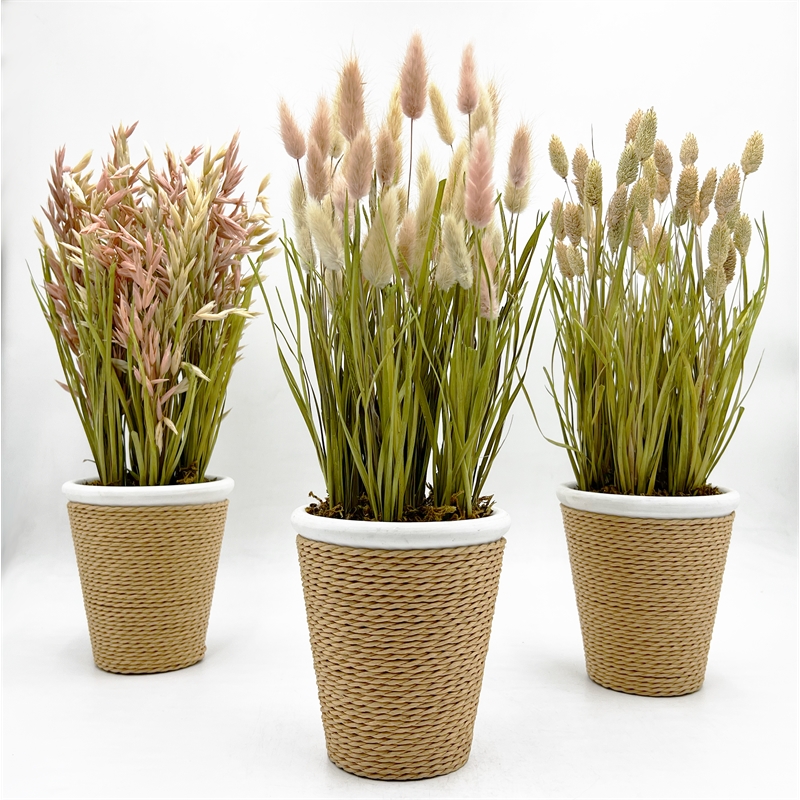 Bergamo Art Preserved Decorative Rustic Oat Canary Pampas Grass Ceramic Pot Set