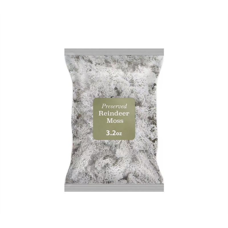 Bergamo Art 95g Preserved Reindeer Moss in White