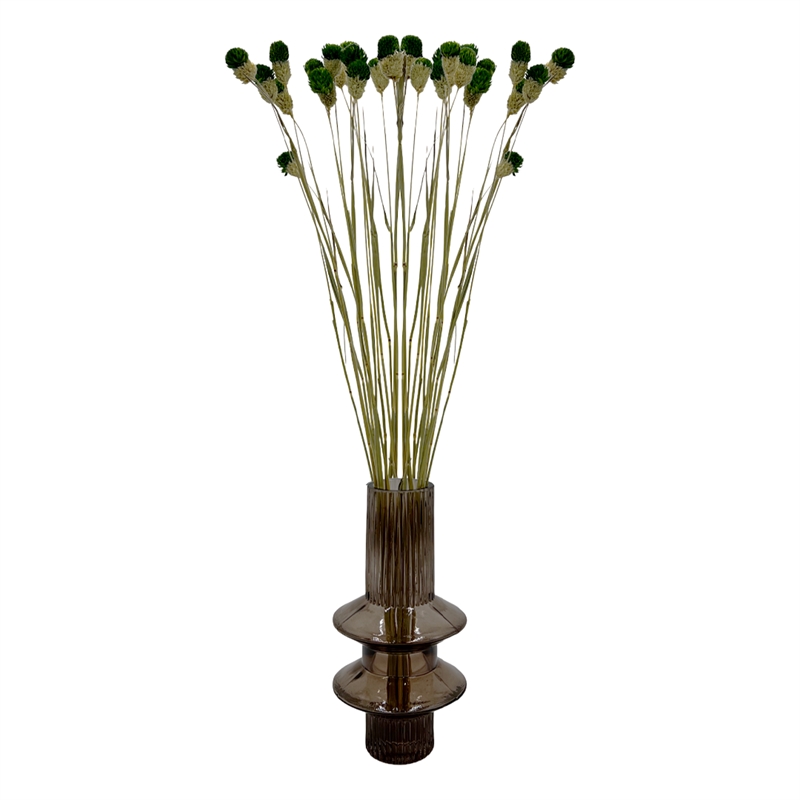Bergamo Art Bundle of 4 Dried Gomphrena Globosa 22-24