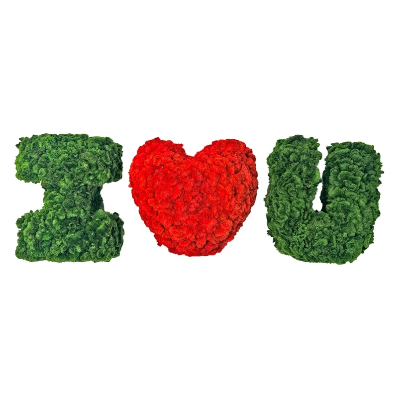 I Heart / Love You  Preserved Bowl Filler Set Romantic Floral Decor- Green Red