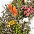 Preserved Botanical Wreath Green Natural Mixed Blooms