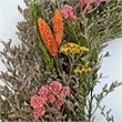 Preserved Botanical Wreath Green Natural Mixed Blooms