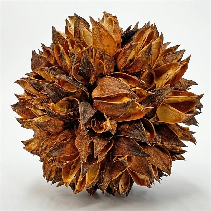 Handmade Natural & Preserved Topiary Balls Bowl Filler Orbs In Brown Set Of 6