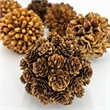 Handmade Natural & Preserved Topiary Balls Bowl Filler Orbs In Brown Set Of 6