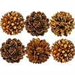 Handmade Natural & Preserved Topiary Balls Bowl Filler Orbs In Brown Set Of 6