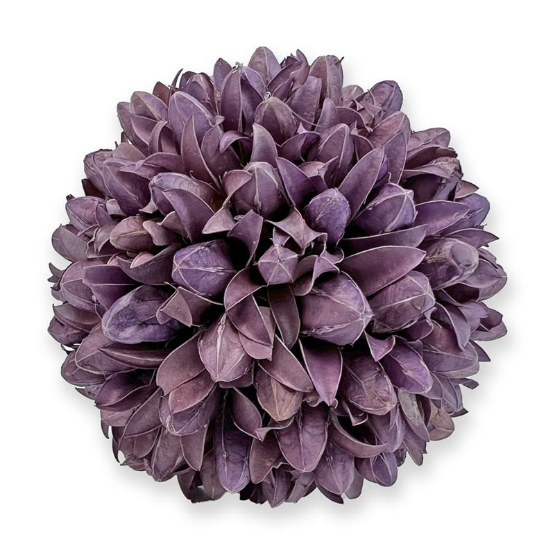 Handmade Preserved Topiary Balls Set of 9 Decorative Floral Orbs