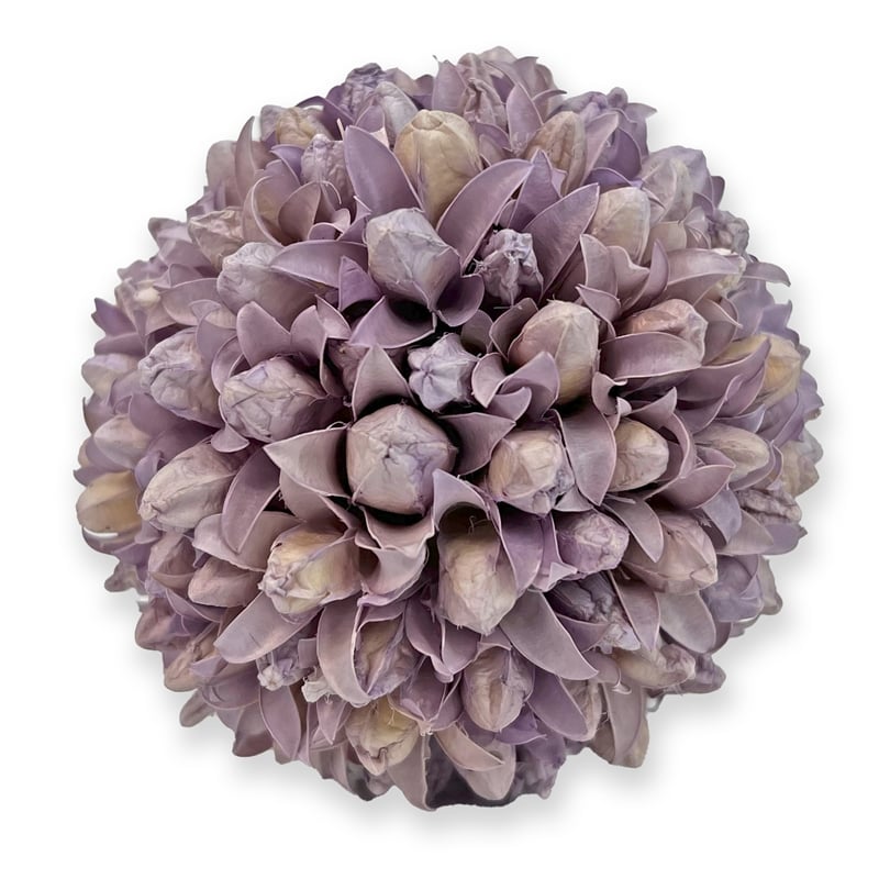 Handmade Preserved Topiary Balls Set of 9 Decorative Floral Orbs