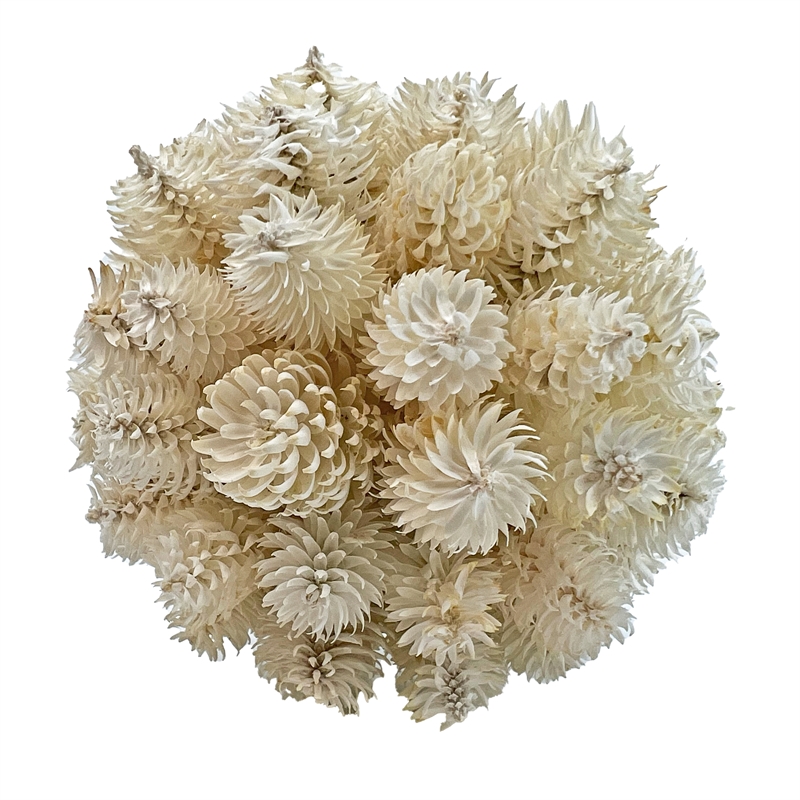 Handmade Preserved Topiary Balls Set of 9 Decorative Floral Orbs