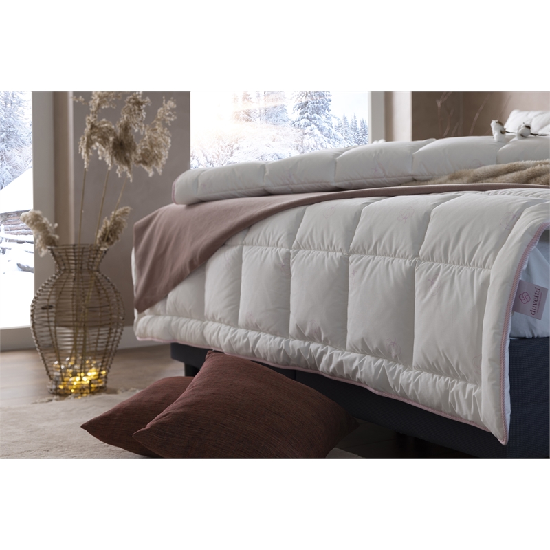 Duvetta Natural Cotton Comforter with Cotton Fabric Cover All Season Twin Size