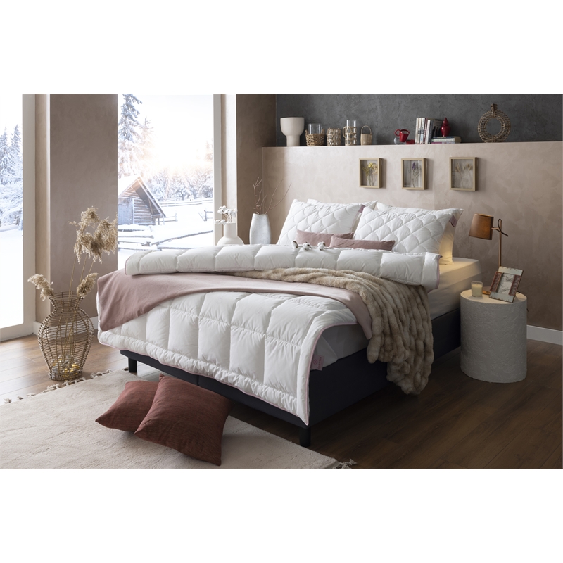 Duvetta Natural Cotton Comforter with Cotton Fabric Cover All Season Twin Size
