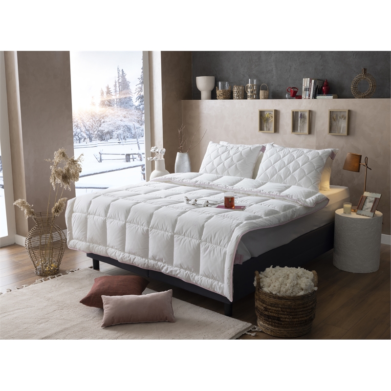Duvetta Natural Cotton Comforter with Cotton Fabric Cover All Season King Size