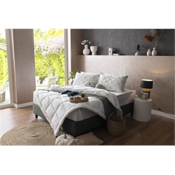 Comforter Sets 