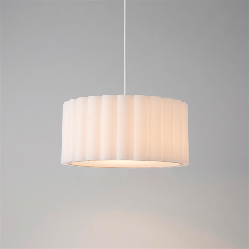 Scallop 15