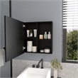 Medicine Cabinet Clayton Bathroom Black