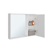 Irwin Modern Medicine Cabinet with Mirror