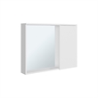 Irwin Modern Medicine Cabinet with Mirror
