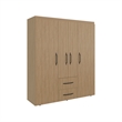 Elma Petunia Wardrobe Closet Engineered Wood Brown Finish