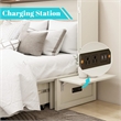 Livelylodge Wood Queen Murphy Bed with Storage Drawer in White-Included Mattress
