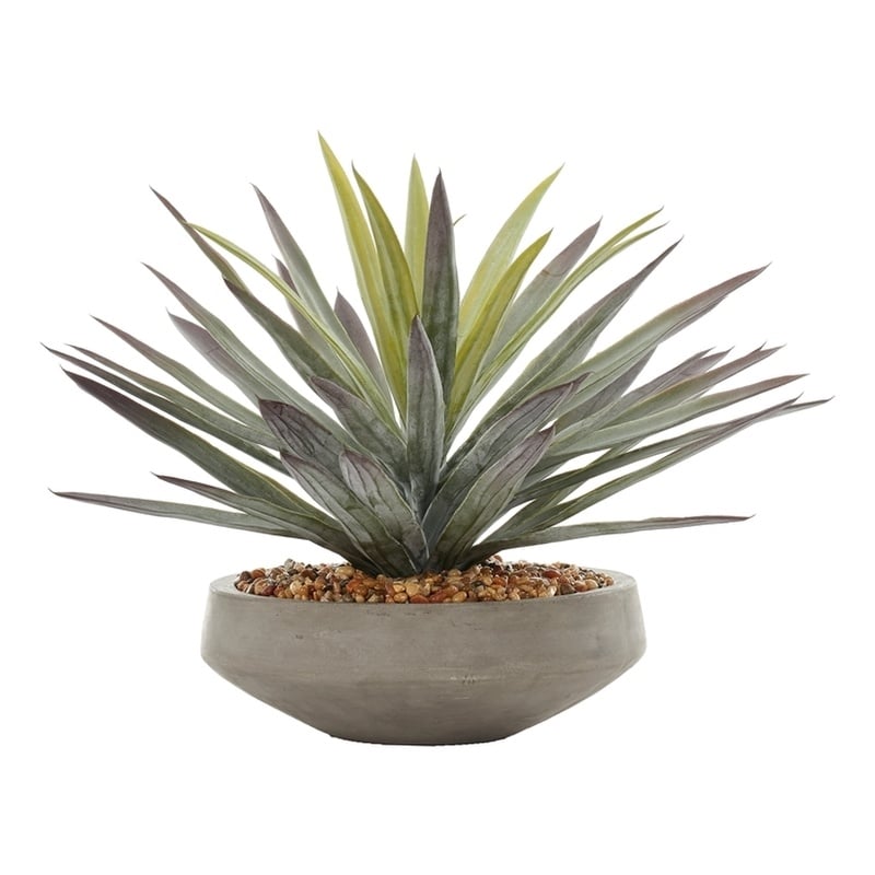 Agave in Grey Low Newport Bowl with River Rock