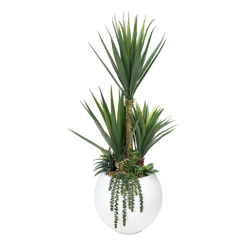 5' Sisal and Assorted Succulents in White Porter Planter