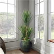 5' Sisal and Assorted Succulents in Black Porter Planter