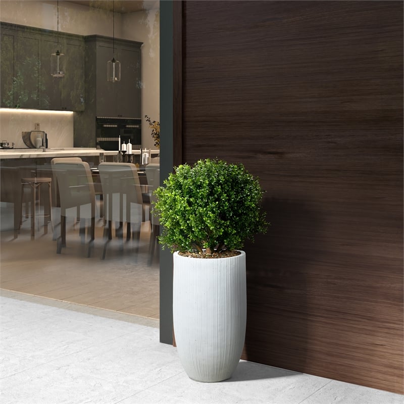 Boxwood Ball in White Ribbed Nell Planter