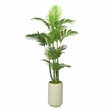 Green Trunk Areca Palm in Rainey Vase