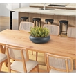 Flocked Succulents in Black Simply Low Bowl