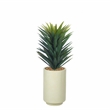 Small Agave Sisalana in Beige Rainey Vase